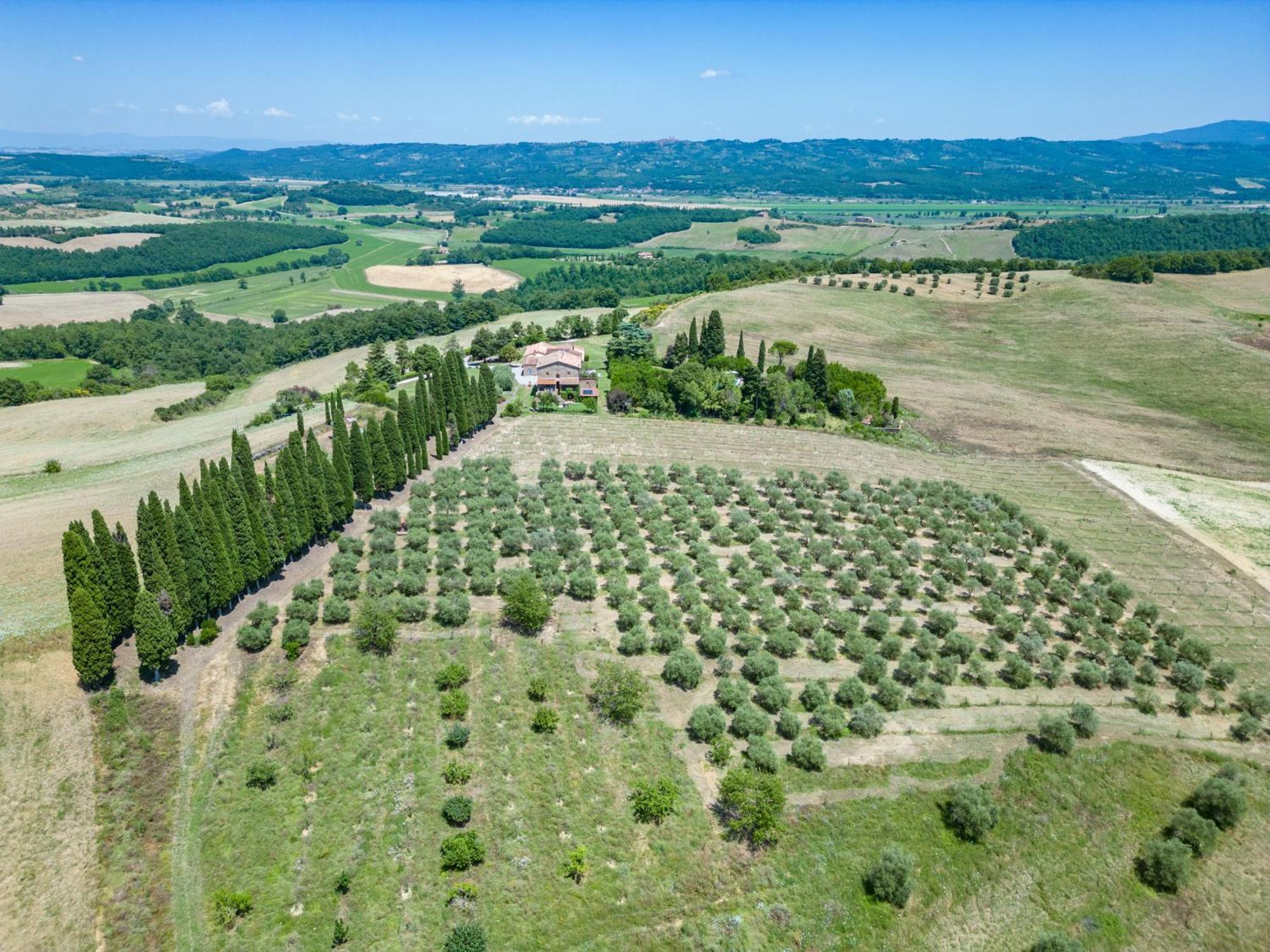 Agriturismo Spazzavento Palazzone Εξωτερικό φωτογραφία